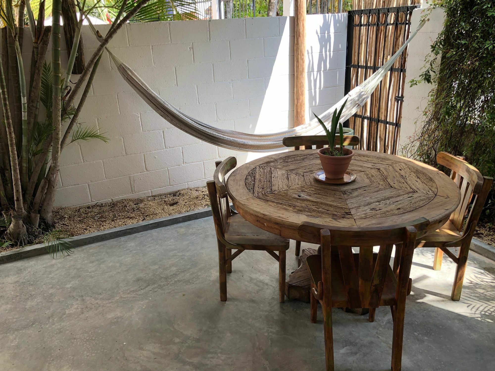 Casa La Palma B&B Playa del Carmen Dış mekan fotoğraf